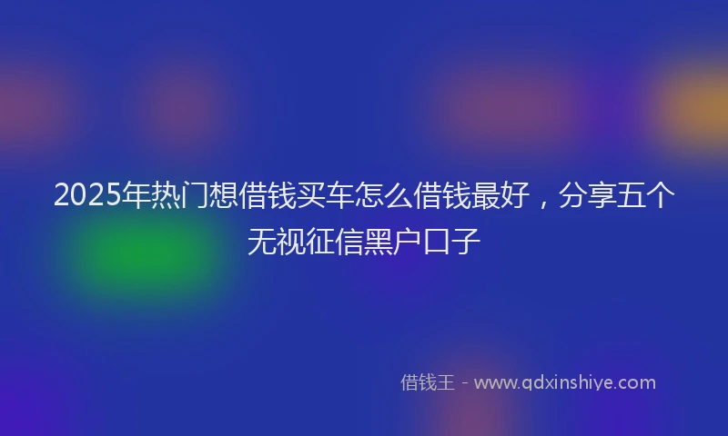 2025年热门想借钱买车怎么借钱最好，分享五个无视征信黑户口子