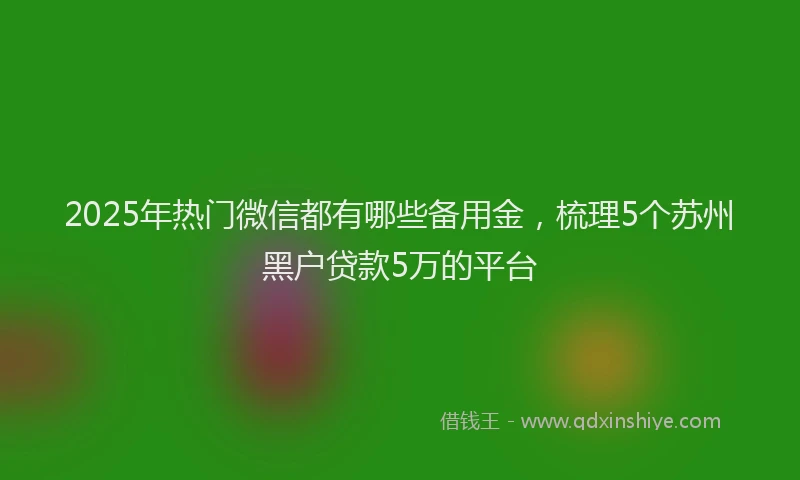 2025年热门微信都有哪些备用金，梳理5个苏州黑户贷款5万的平台