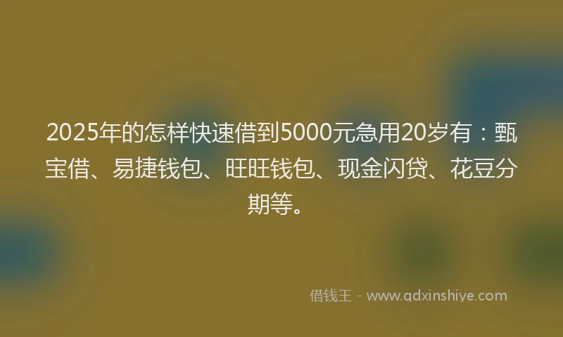 2025年的怎样快速借到5000元急用20岁有：甄宝借、易捷钱包、旺旺钱包、现金闪贷、花豆分期等。