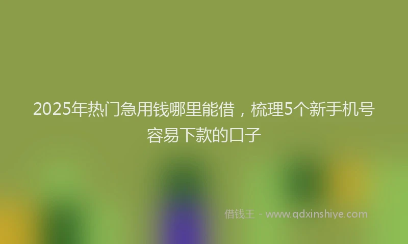 2025年热门急用钱哪里能借，梳理5个新手机号容易下款的口子