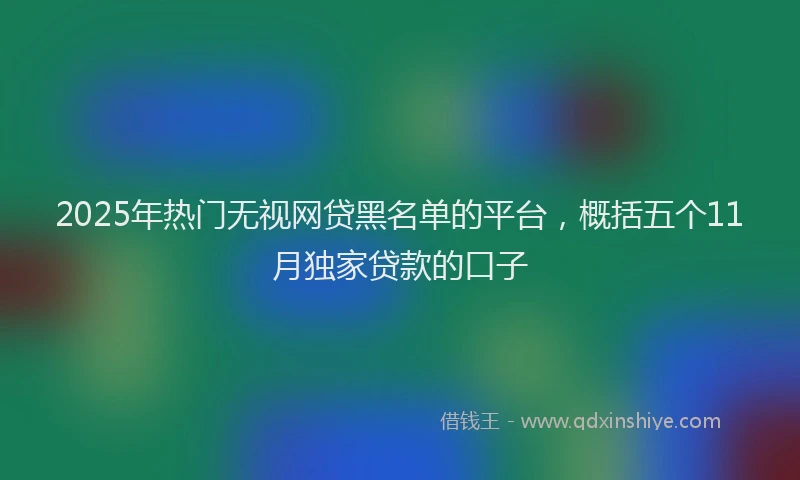 2025年热门无视网贷黑名单的平台，概括五个11月独家贷款的口子