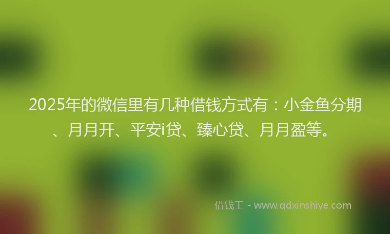 2025年的微信里有几种借钱方式有：小金鱼分期、月月开、平安i贷、臻心贷、月月盈等。