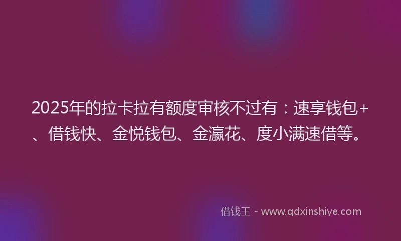2025年的拉卡拉有额度审核不过有：速享钱包+、借钱快、金悦钱包、金瀛花、度小满速借等。