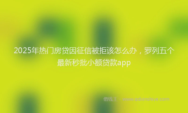 2025年热门房贷因征信被拒该怎么办，罗列五个最新秒批小额贷款app