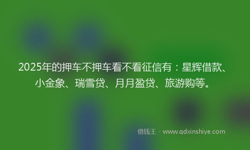 2025年的押车不押车看不看征信有：星辉借款、小金象、瑞雪贷、月月盈贷、旅游购等。