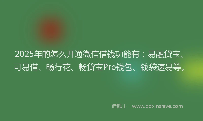 2025年的怎么开通微信借钱功能有：易融贷宝、可易借、畅行花、畅贷宝Pro钱包、钱袋速易等。