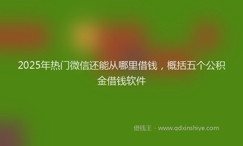 2025年热门微信还能从哪里借钱，概括五个公积金借钱软件