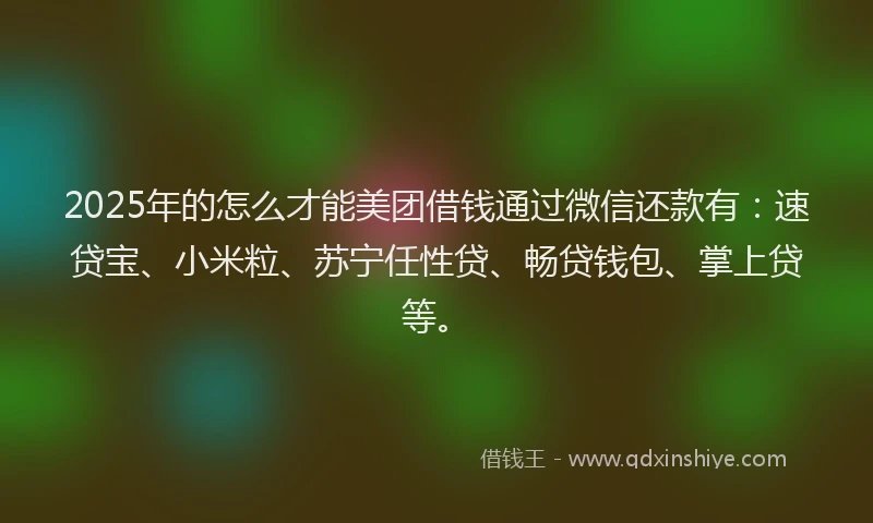 2025年的怎么才能美团借钱通过微信还款有：速贷宝、小米粒、苏宁任性贷、畅贷钱包、掌上贷等。