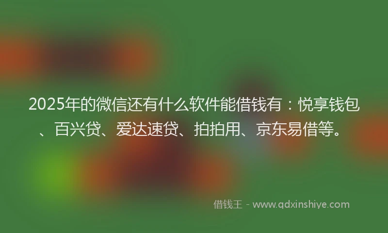 2025年的微信还有什么软件能借钱有：悦享钱包、百兴贷、爱达速贷、拍拍用、京东易借等。