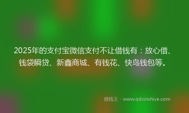 2025年的支付宝微信支付不让借钱有：放心借、钱袋瞬贷、新鑫商城、有钱花、快鸟钱包等。