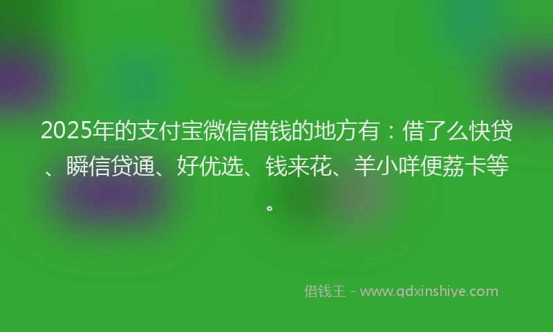 2025年的支付宝微信借钱的地方有：借了么快贷、瞬信贷通、好优选、钱来花、羊小咩便荔卡等。