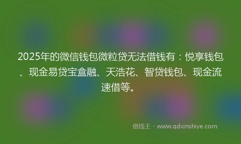 2025年的微信钱包微粒贷无法借钱有：悦享钱包、现金易贷宝盒融、天浩花、智贷钱包、现金流速借等。