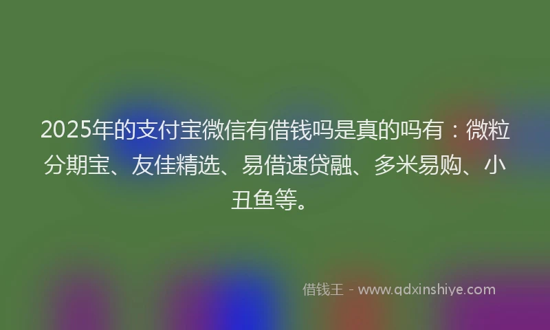 2025年的支付宝微信有借钱吗是真的吗有：微粒分期宝、友佳精选、易借速贷融、多米易购、小丑鱼等。