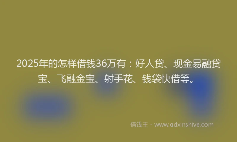 2025年的怎样借钱36万有：好人贷、现金易融贷宝、飞融金宝、射手花、钱袋快借等。