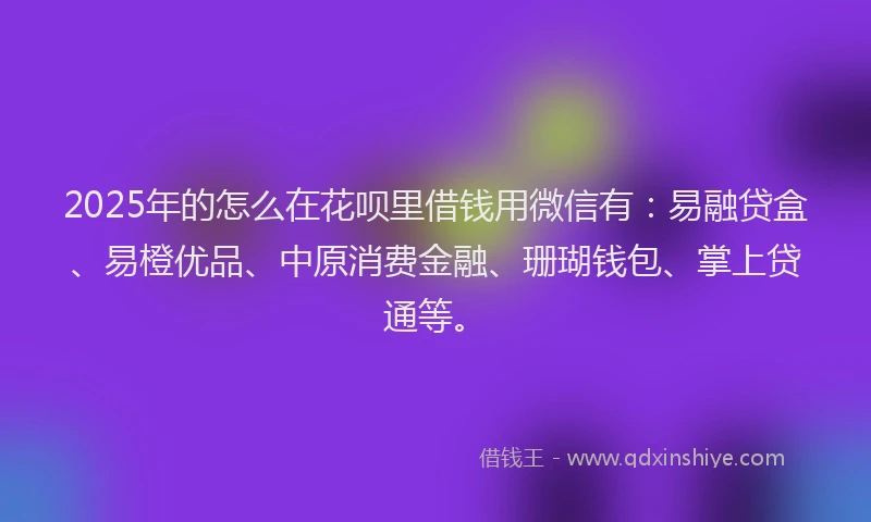 2025年的怎么在花呗里借钱用微信有：易融贷盒、易橙优品、中原消费金融、珊瑚钱包、掌上贷通等。