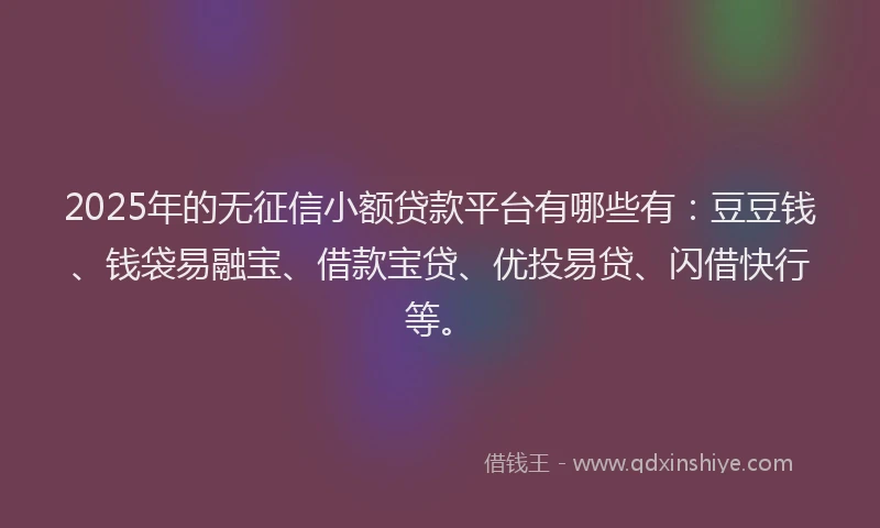 2025年的无征信小额贷款平台有哪些有：豆豆钱、钱袋易融宝、借款宝贷、优投易贷、闪借快行等。