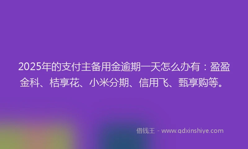 2025年的支付主备用金逾期一天怎么办有：盈盈金科、桔享花、小米分期、信用飞、甄享购等。