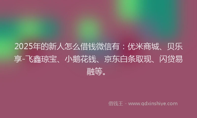 2025年的新人怎么借钱微信有：优米商城、贝乐享-飞鑫琼宝、小鹅花钱、京东白条取现、闪贷易融等。