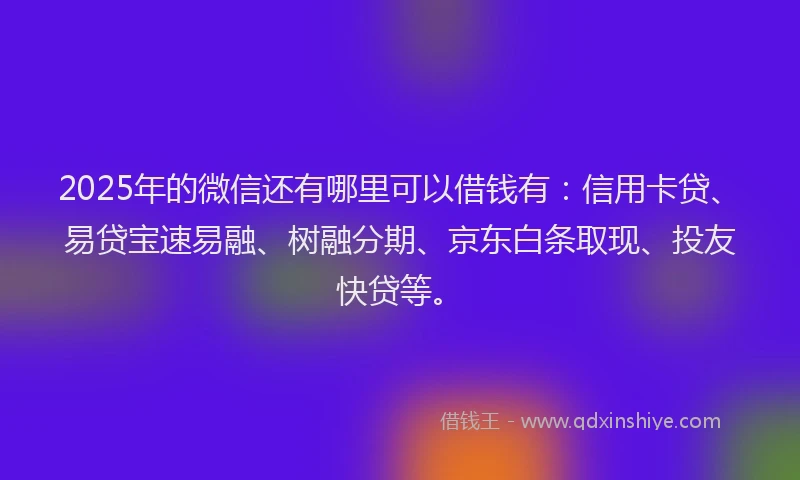 2025年的微信还有哪里可以借钱有：信用卡贷、易贷宝速易融、树融分期、京东白条取现、投友快贷等。