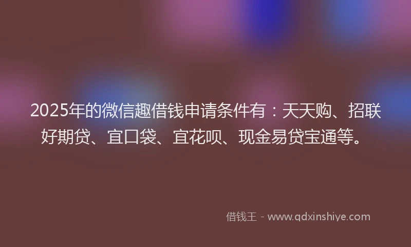 2025年的微信趣借钱申请条件有：天天购、招联好期贷、宜口袋、宜花呗、现金易贷宝通等。