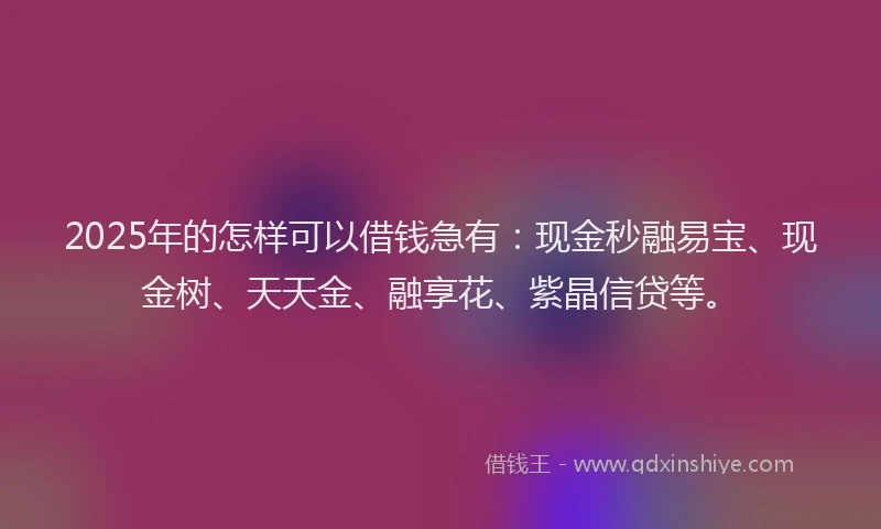 2025年的怎样可以借钱急有：现金秒融易宝、现金树、天天金、融享花、紫晶信贷等。
