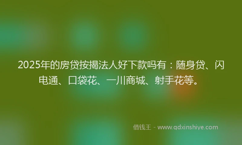 2025年的房贷按揭法人好下款吗有：随身贷、闪电通、口袋花、一川商城、射手花等。