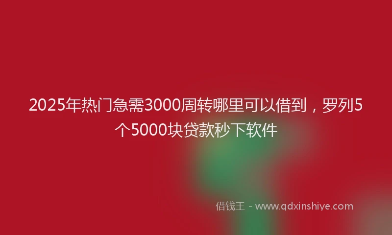 2025年热门急需3000周转哪里可以借到，罗列5个5000块贷款秒下软件
