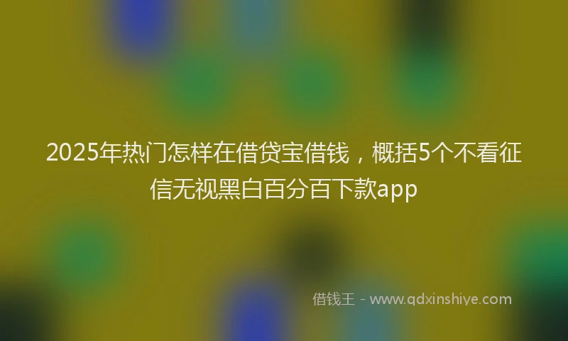 2025年热门怎样在借贷宝借钱，概括5个不看征信无视黑白百分百下款app