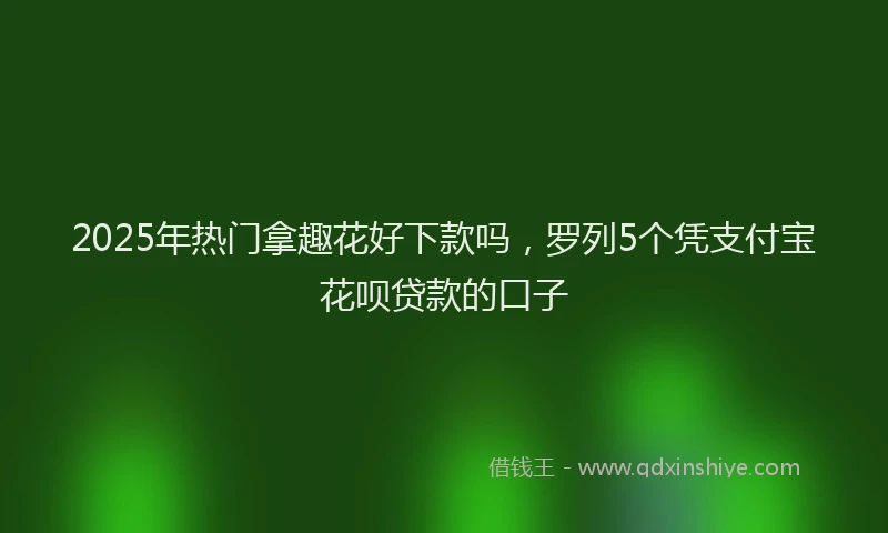 2025年热门拿趣花好下款吗，罗列5个凭支付宝花呗贷款的口子