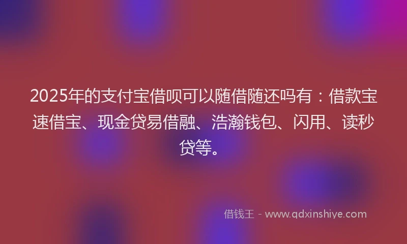 2025年的支付宝借呗可以随借随还吗有：借款宝速借宝、现金贷易借融、浩瀚钱包、闪用、读秒贷等。