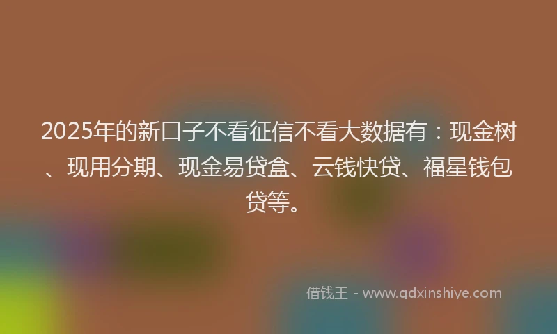 2025年的新口子不看征信不看大数据有：现金树、现用分期、现金易贷盒、云钱快贷、福星钱包贷等。