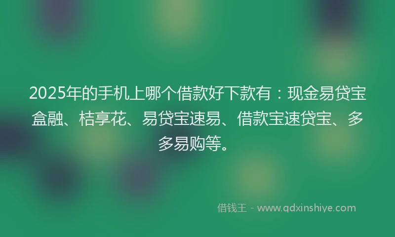 2025年的手机上哪个借款好下款有：现金易贷宝盒融、桔享花、易贷宝速易、借款宝速贷宝、多多易购等。