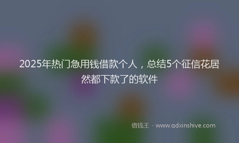 2025年热门急用钱借款个人，总结5个征信花居然都下款了的软件