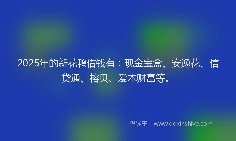 2025年的新花鸭借钱有：现金宝盒、安逸花、信贷通、榕贝、爱木财富等。