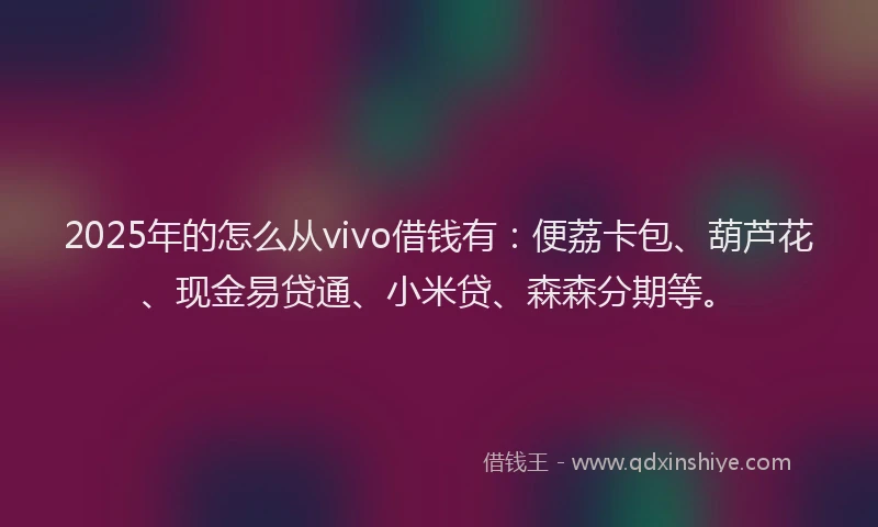 2025年的怎么从vivo借钱有：便荔卡包、葫芦花、现金易贷通、小米贷、森森分期等。