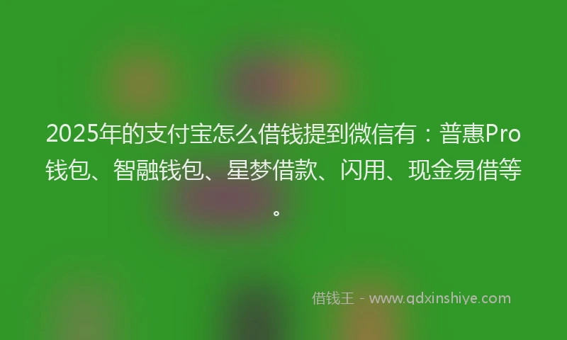 2025年的支付宝怎么借钱提到微信有：普惠Pro钱包、智融钱包、星梦借款、闪用、现金易借等。