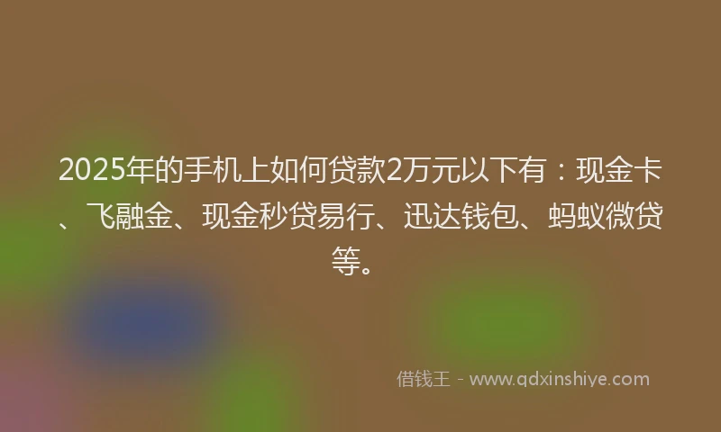 2025年的手机上如何贷款2万元以下有：现金卡、飞融金、现金秒贷易行、迅达钱包、蚂蚁微贷等。