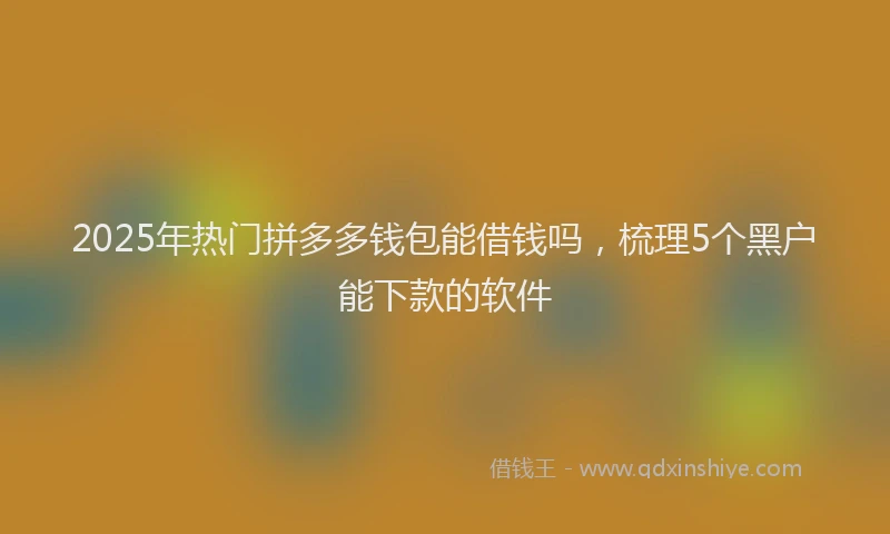 2025年热门拼多多钱包能借钱吗，梳理5个黑户能下款的软件