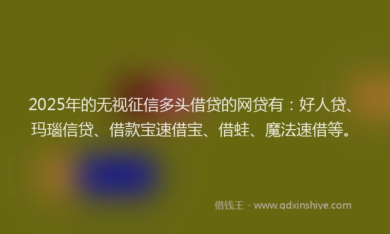 2025年的无视征信多头借贷的网贷有：好人贷、玛瑙信贷、借款宝速借宝、借蛙、魔法速借等。