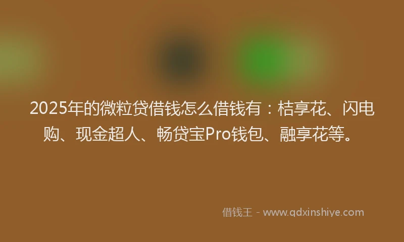 2025年的微粒贷借钱怎么借钱有：桔享花、闪电购、现金超人、畅贷宝Pro钱包、融享花等。