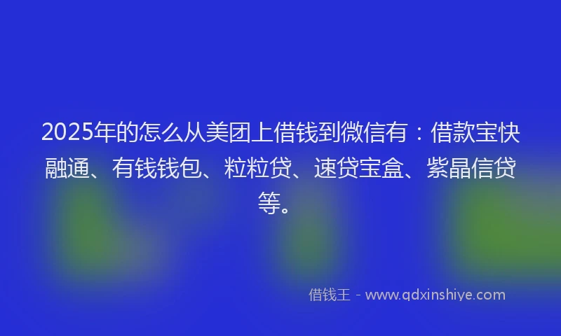2025年的怎么从美团上借钱到微信有：借款宝快融通、有钱钱包、粒粒贷、速贷宝盒、紫晶信贷等。