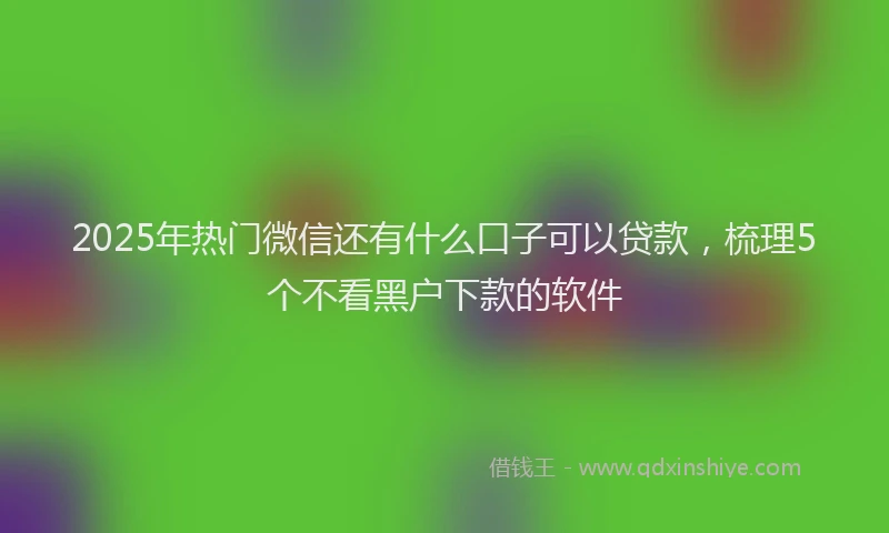 2025年热门微信还有什么口子可以贷款，梳理5个不看黑户下款的软件