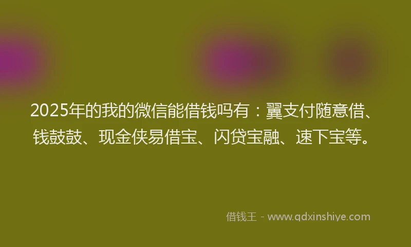 2025年的我的微信能借钱吗有：翼支付随意借、钱鼓鼓、现金侠易借宝、闪贷宝融、速下宝等。