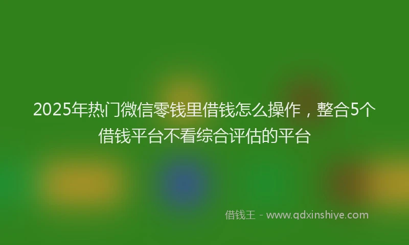 2025年热门微信零钱里借钱怎么操作，整合5个借钱平台不看综合评估的平台