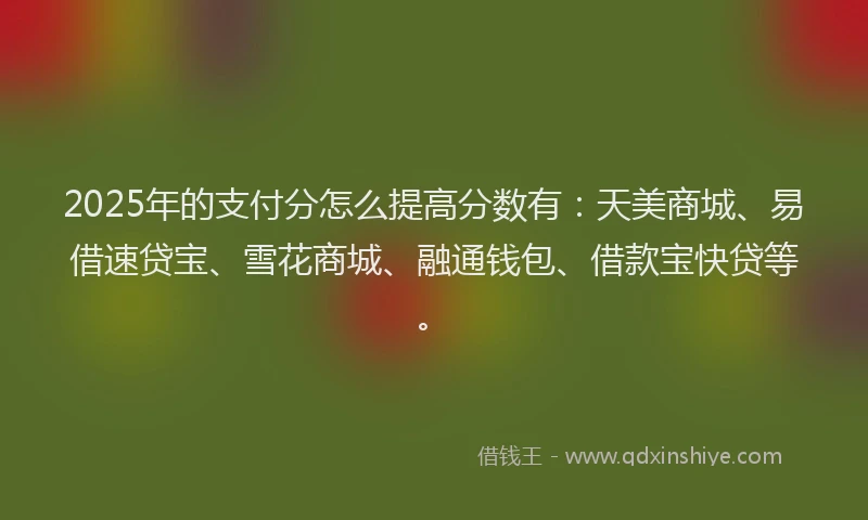 2025年的支付分怎么提高分数有：天美商城、易借速贷宝、雪花商城、融通钱包、借款宝快贷等。