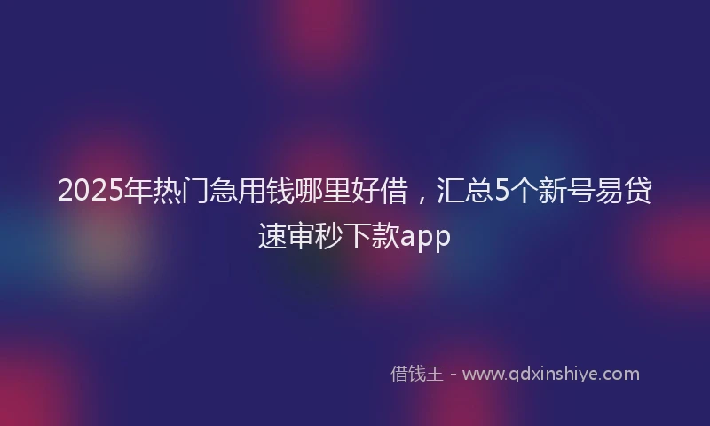 2025年热门急用钱哪里好借，汇总5个新号易贷速审秒下款app