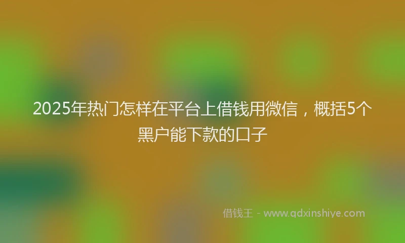 2025年热门怎样在平台上借钱用微信，概括5个黑户能下款的口子