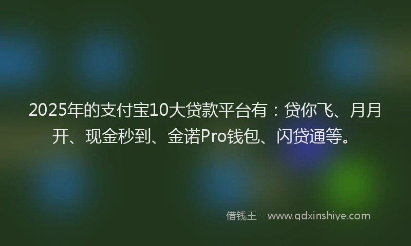2025年的支付宝10大贷款平台有：贷你飞、月月开、现金秒到、金诺Pro钱包、闪贷通等。