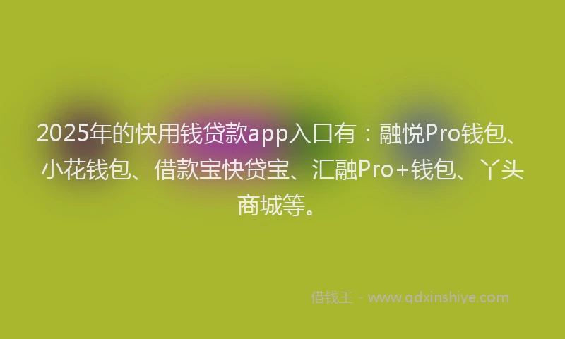 2025年的快用钱贷款app入口有：融悦Pro钱包、小花钱包、借款宝快贷宝、汇融Pro+钱包、丫头商城等。