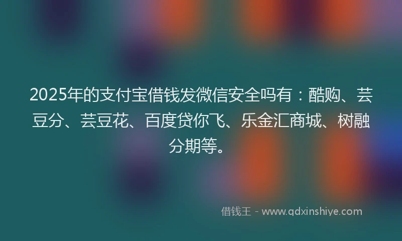 2025年的支付宝借钱发微信安全吗有：酷购、芸豆分、芸豆花、百度贷你飞、乐金汇商城、树融分期等。